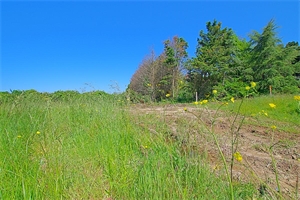 terrain à la vente -   85340  L ILE D OLONNE, surface 986 m2 vente terrain - UBI481826900